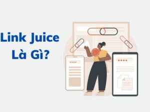 Khái niệm cơ bản về Link Juice