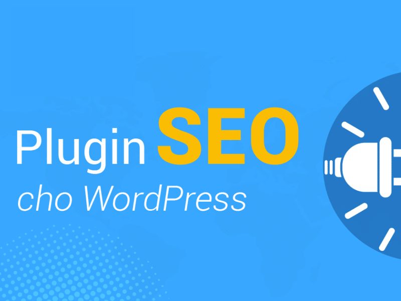 plugin-seo-1