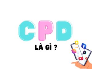 CPD là gì? Vì sao CPD lại quan trọng với doanh nghiệp?