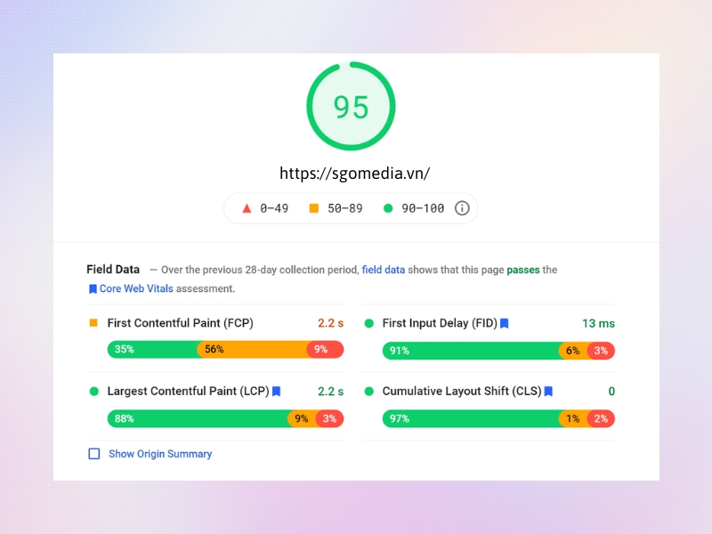 Field data là những thông tin từ người dùng đã trải nghiệm trên Chrome trong 30 ngày.