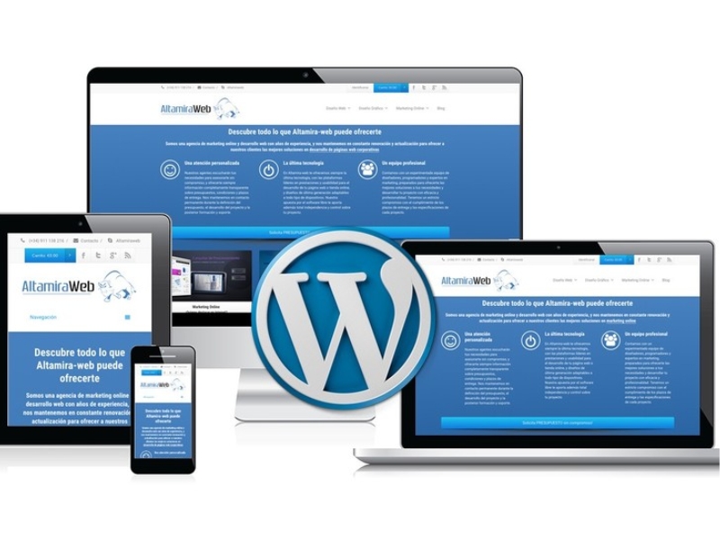 SEO website wordpress