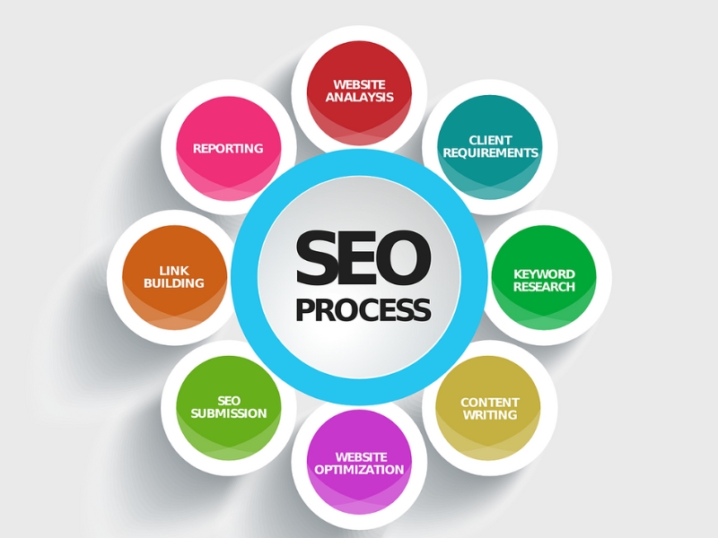 SEO website wordpress