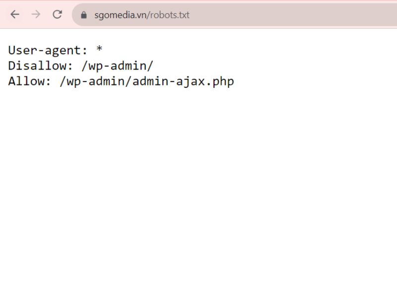 Robot.txt giúp kiểm soát quyền truy cập vào website