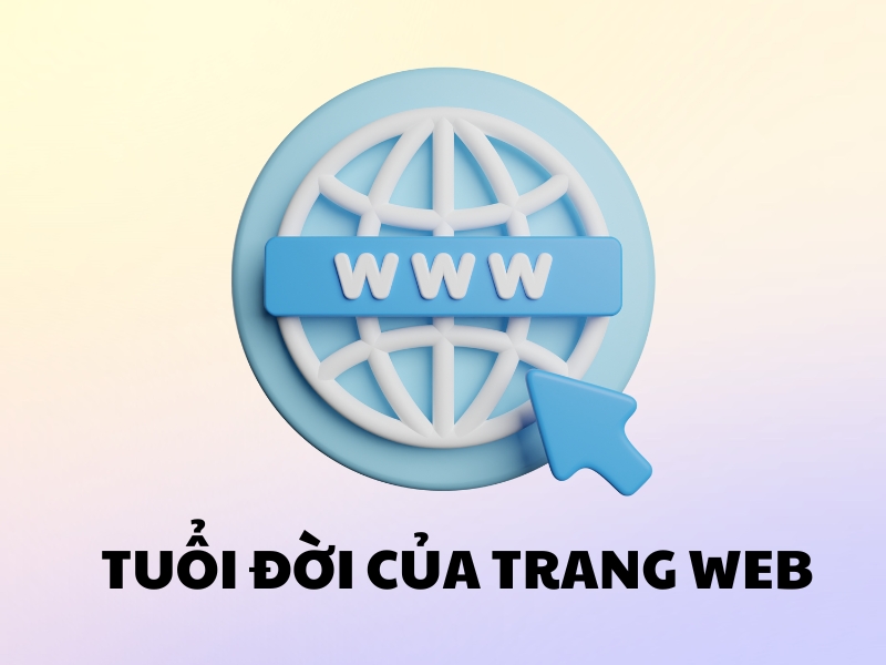 Tuổi đời website càng lâu, càng có uy tín và index nhanh chóng hơn