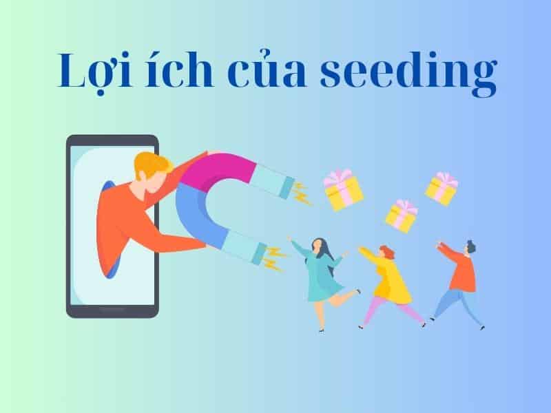 Lợi ích mang lại của seeding là gì? Thu hút người truy cập