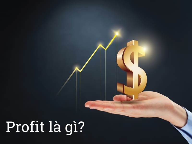 Tìm hiểu profit là gì?