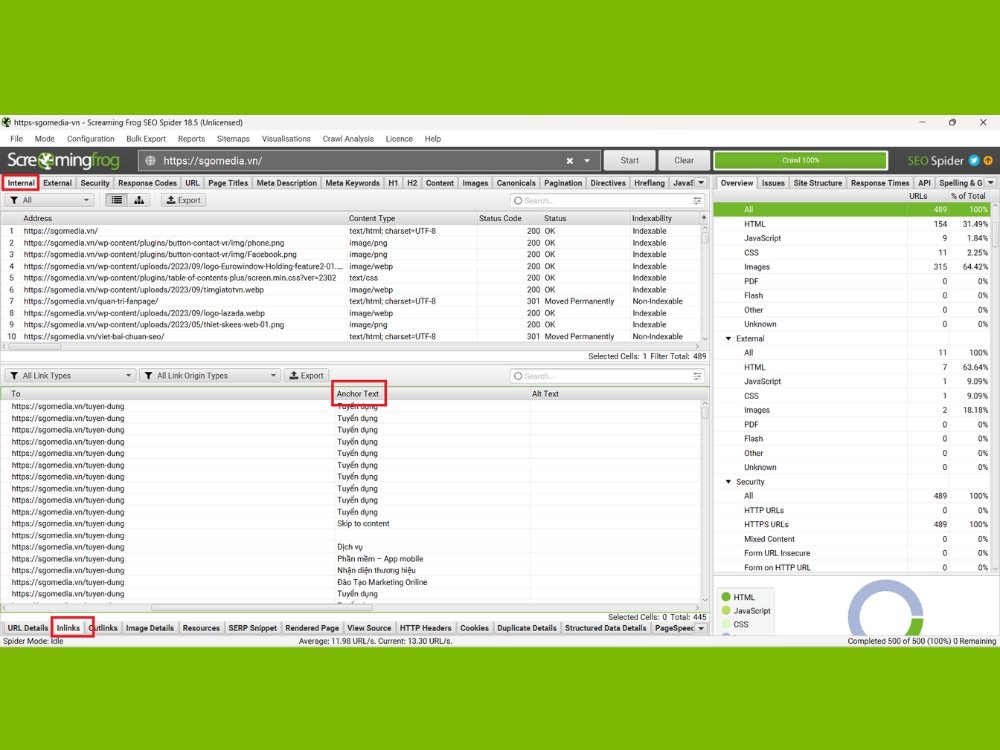 Các tính năng đặc biệt trong Screaming Frog là gì? Kiểm tra Anchor Text