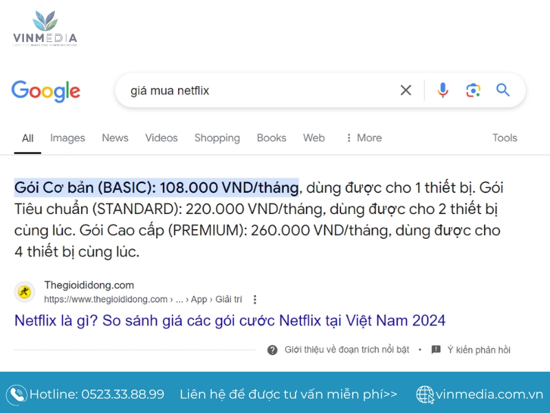 Ví dụ tìm kiếm “giá mua netflix”